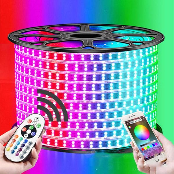 

1-12m double row rgb led strip 96leds/m 220v color change light tape ip67 waterproof rope +ir bluetooth control strips
