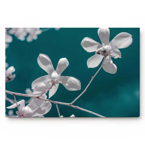 

cushion/decorative pillow plant white flower simple door mats bedroom kitchen bathroom non-slip