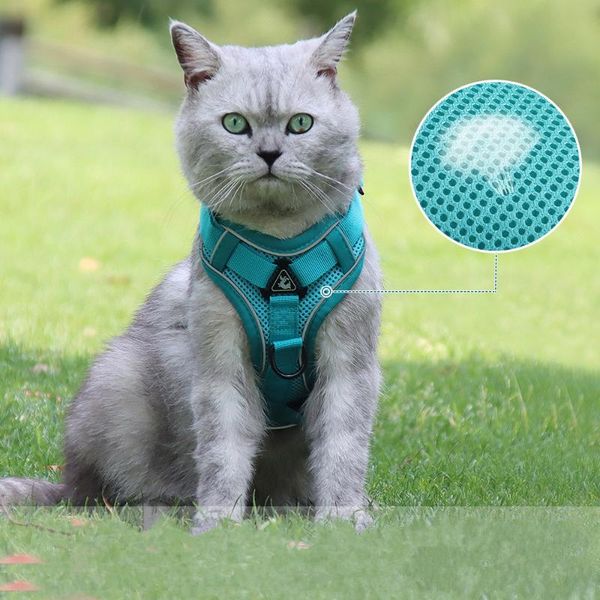 

dog collars & leashes leash harness for small breeds dogs pet vest chest atrap reflective walking cat accessories rope supplies