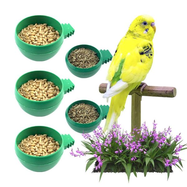 

other bird supplies birds feeder hummingbird rigging water drinker pet accessories outdoor green bowl for macaw