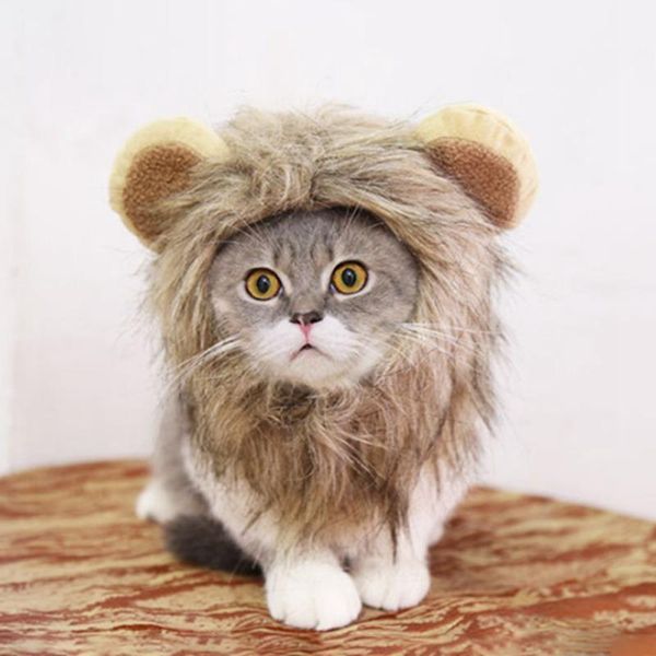 

cat costumes cosplay clothes for small dog costume lion mane wig cap hat halloween christmas dress pet