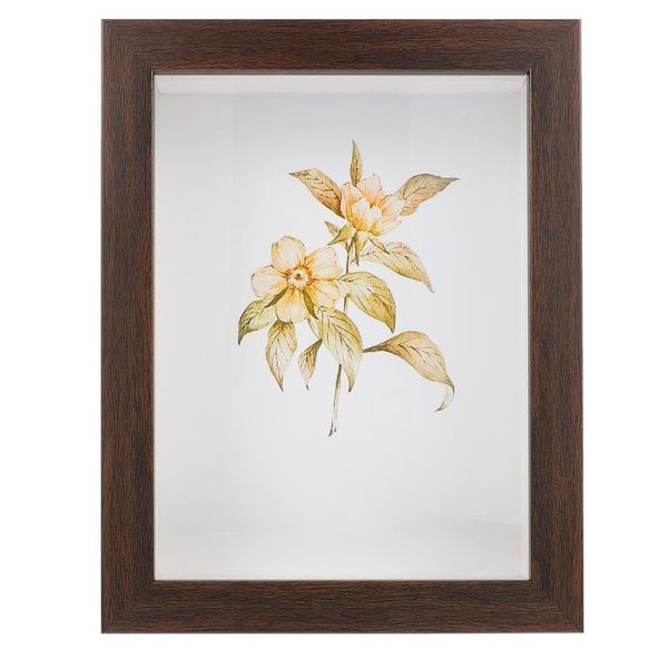 

frames 10inch decorative dried flowers shadow box display case picture frame ornament