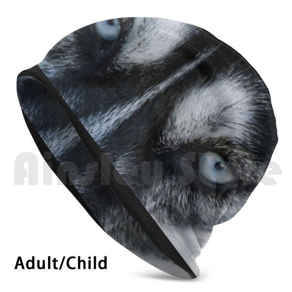 

beanies eyes knit hat hip hop pet dog close siberian husky pey straight look