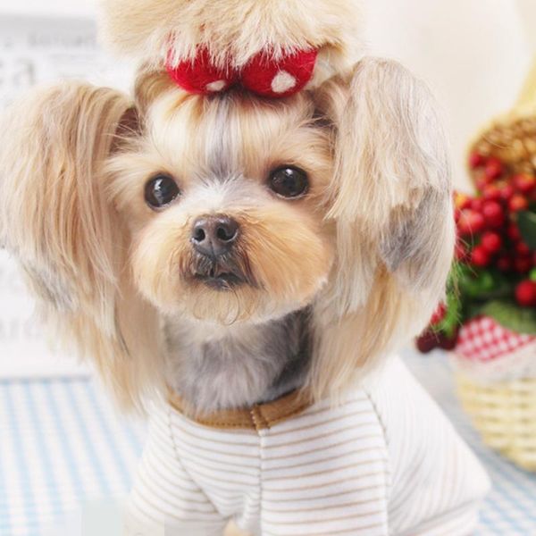 

[mpk dog wear] cute puppy wear, sweater apparel