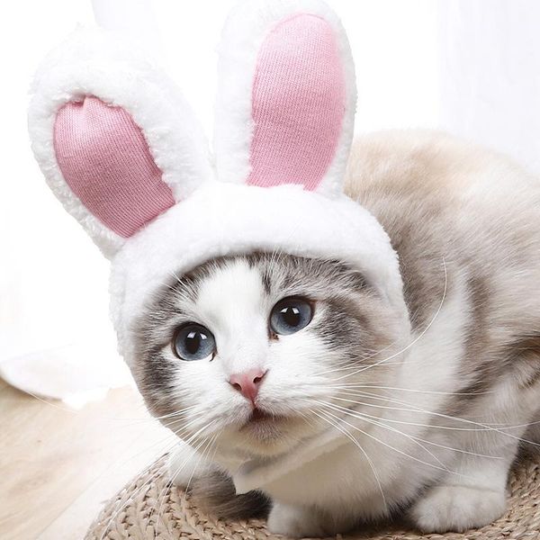

cat costumes cute pet hats soft headwear cartoon winter warm party christmas costume cosplay hat decorative accessories