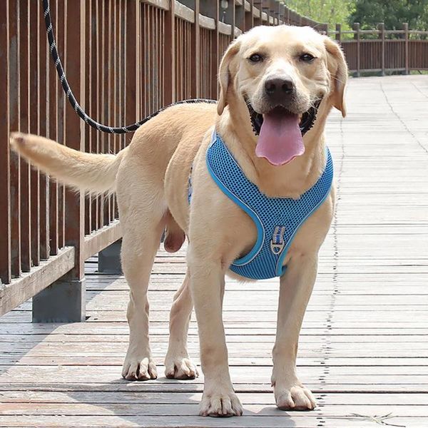 

dog collars & leashes chest strap reflective explosion proof polyester pet traction rope for walking