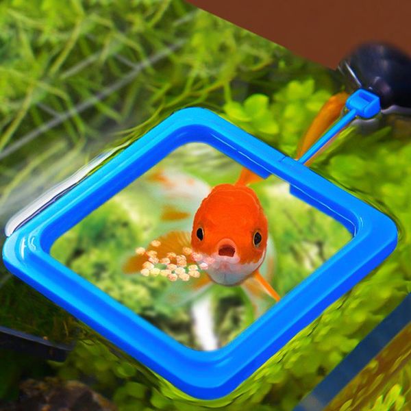 

aquariums aquarium fish feeding ring floating tank feeder station round square food tray with suction cup accessories