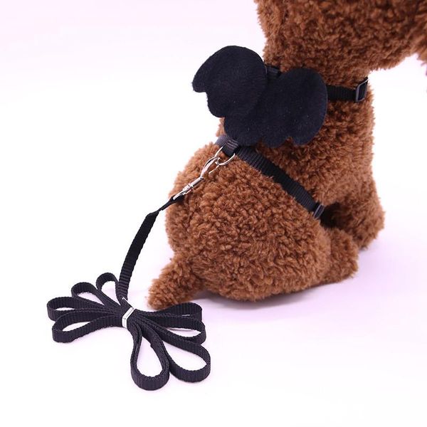 

cute angel cat dog leashes and collars set puppy leads for small dogs cats designer wing adjustable harness pet accessories &