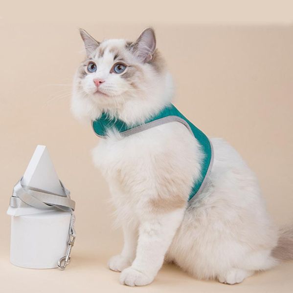 

cat collars & leads lovely clothes dog leash nylon pet for running or training collar harness