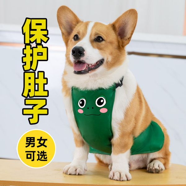 

dog cloth belly pocket corky summer thin pet small dog raincoat suppli fadou vt