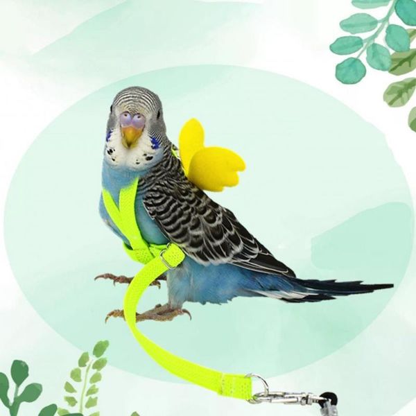 

other bird supplies flexible parrot harness leash outdoor training traction rope with angel wing