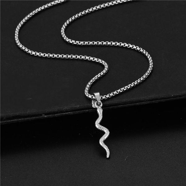 

pendant necklaces stainless steel snake shape necklace for women men simplicity clavicle chain 2021 trend punk hip hop jewelery party gift, Silver