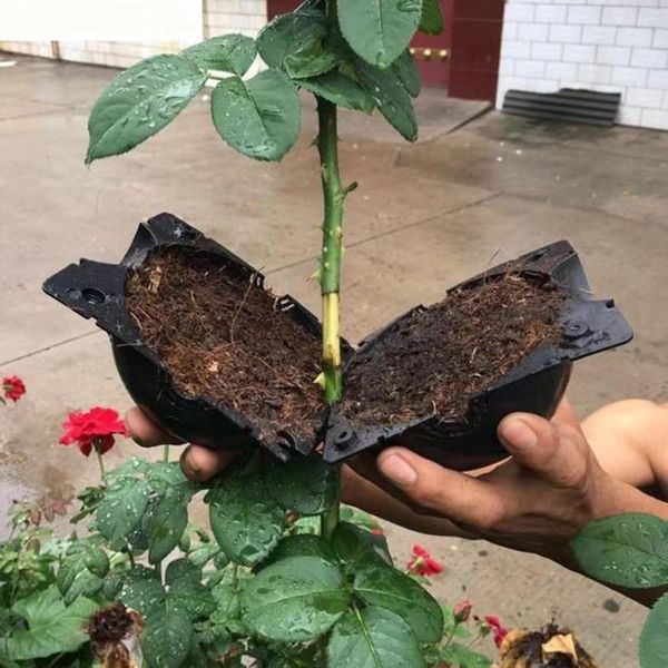

6pcs plant rooting ball grafting growing box breeding case for garden planters & pots
