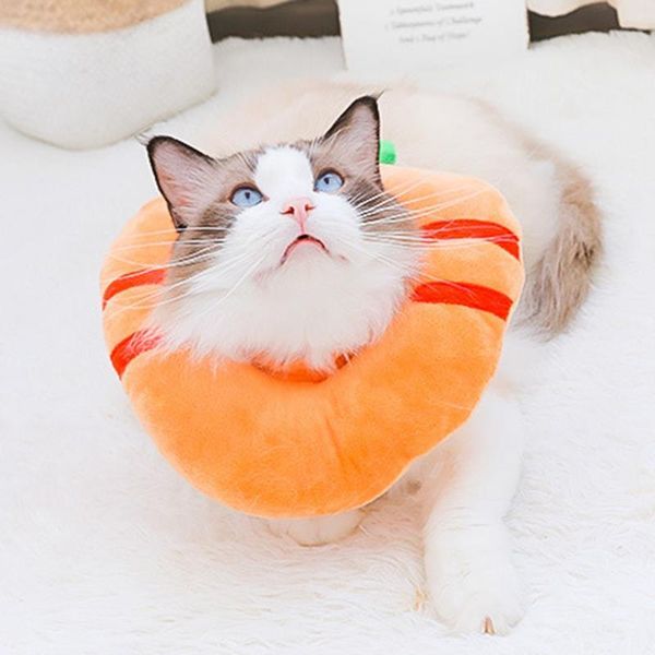 

cat carriers,crates & houses recovery collar soft neck protection adjustable cone pet protective cute carrot accessories