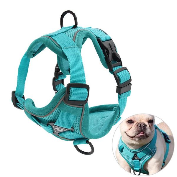 

dog collars & leashes vest-style harness small arnes perro puppies walking leash harnais chien cat accessories