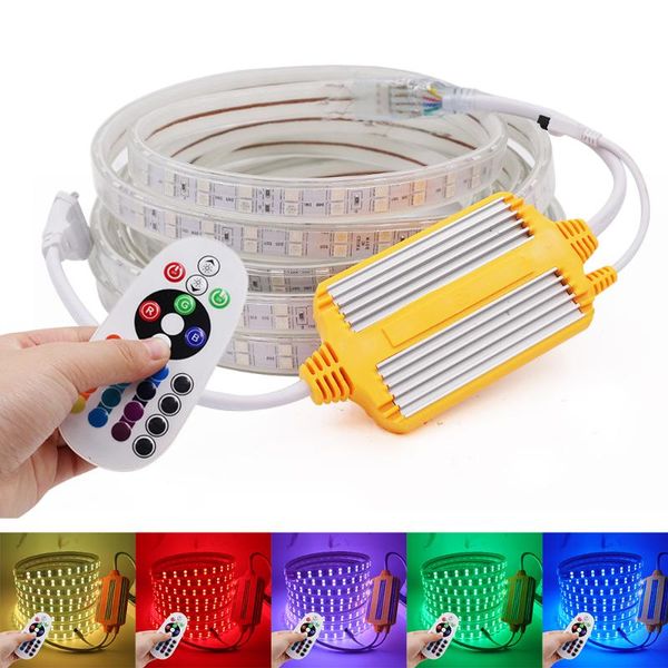 

strips led strip 220v 240v rgb 120leds/m waterproof tape lights rope with remote control outdoor flexible ribbon fita de light