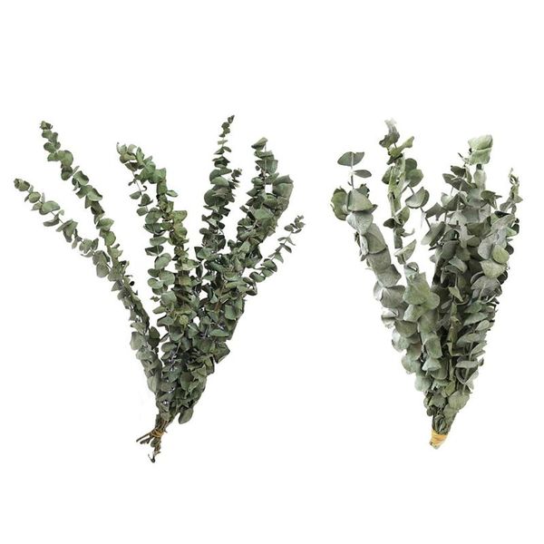 

artificial plant eucalyptus leaf plastic green nordic dried flower bouquet for wedding forest style home decoration decorative flowers & wre