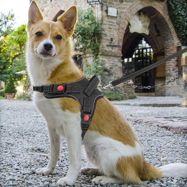 

dog collars & leashes pet soft adjustable harness large walk out vest for medium chest strap pets accessories