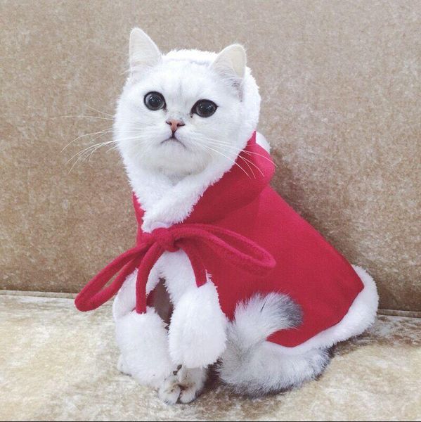 

cat costumes dog costume christmas cloak halloween disguise clothes for cats year suit hooded small dogs pet po props