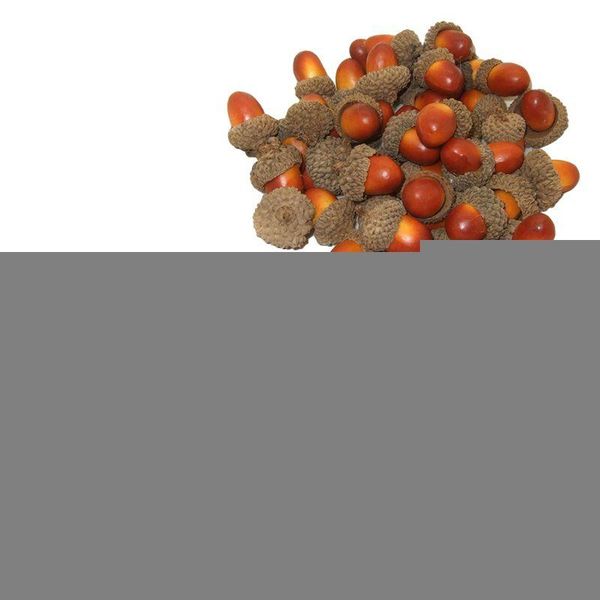 

50pcs artificial simulation small acorn plant ornament fake fruit autumn for home kitchen glass bowl decoration po props party