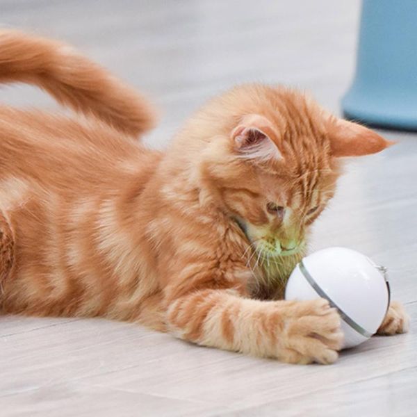 

electric cat teaser toys 3 modes led laser light ball plastic pet kitten automatic rolling interactive playing kit