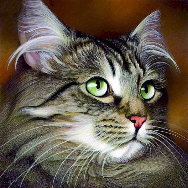 

paintings gatyztory 60x75cm frame painting by numbers wall art picture acrylic coloring paint on canvas cat for home decors diy artwork