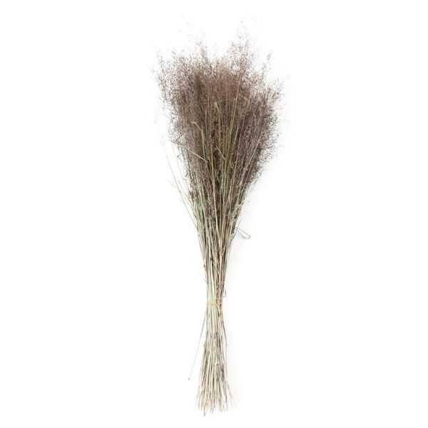 

stems dried muhly grass bunch natural plants floral miscanthus heteroph bouquet home decoration accessorie decorative flowers & wreaths