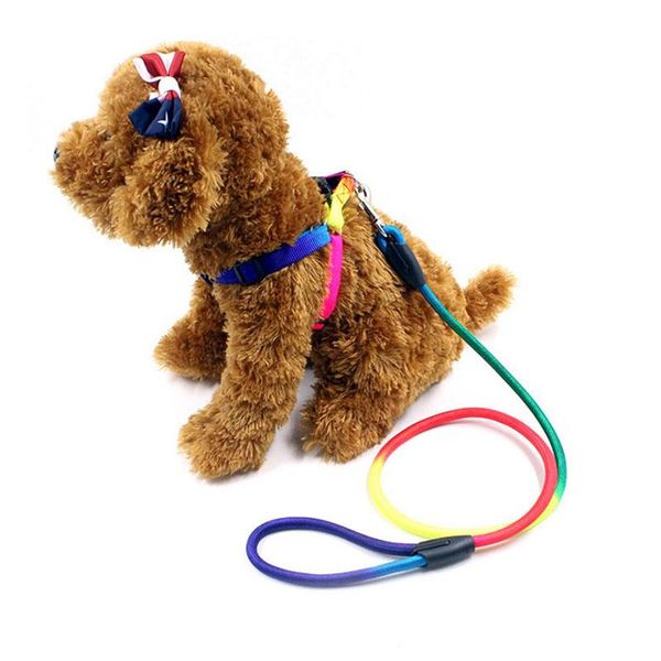 

1.2m pet dog lnylon rainbow eash walking training leash cats dogs harness collar leashes strap belt ropedurable collars &