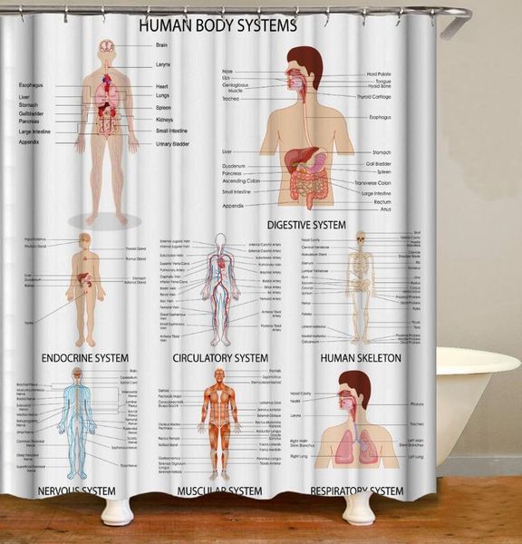 

women human print shower curtains waterproof polyester fibercurtains for bath home decor bathroom products