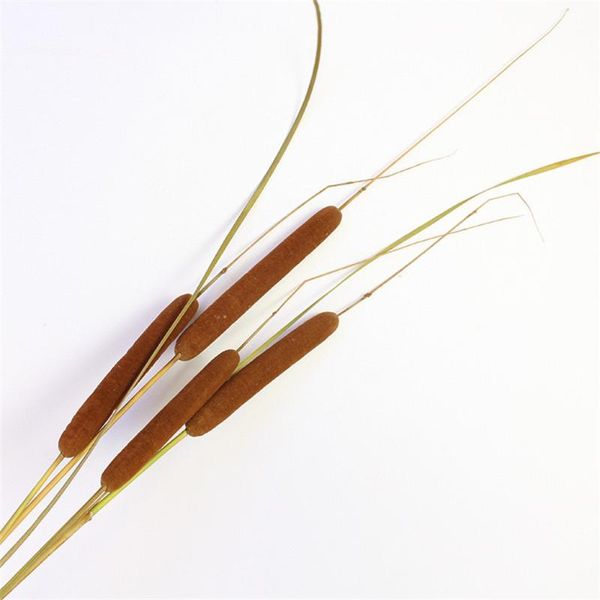 

5pcs dried natural spike of cattail real pampas mace artificial flowers bouquets wedding decorative flower home decoration & wreaths