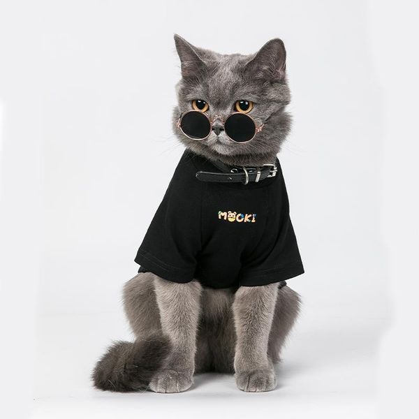 

clothing for cats suit dog clothes spink sphynx plus size habit chart 2021 chihuahua t-shirt york hairless soft sweatshirt cat costumes