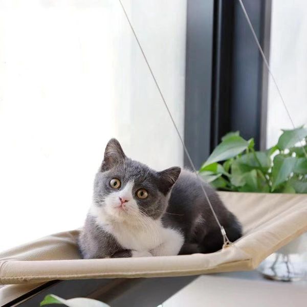 

vacuum sucker pet hammock window mount comfortable bed hanging beds bathe in the sun cute cat bearing 20kg & furniture