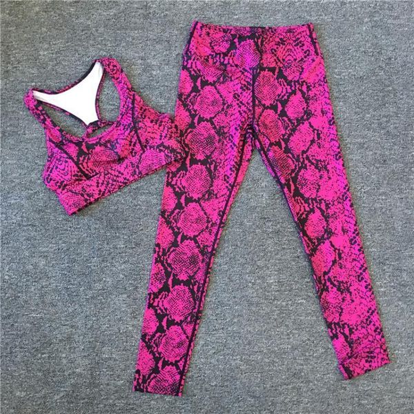 

larger pad snake women sport wear jogging suit fitness gym yoga set female running leggings sportswear tracksuit outfit