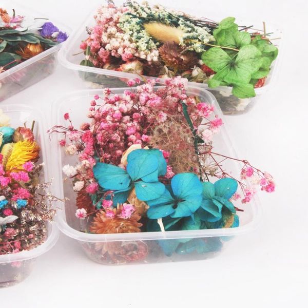 

decorative flowers & wreaths 1 box of natural dried plants real scented candle necklace jewelry diy production process accessories