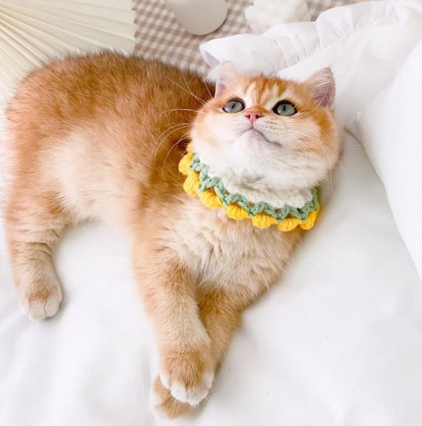 

cat collar woolen dog bandana bowknot pet necklace manual kitty costumes