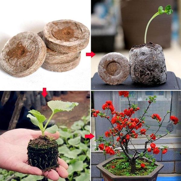 

10pcs 40/50mm jiffy peat pellets seedling soil block maker starting plugs seeds starter professional for garden avoid root planters & pots