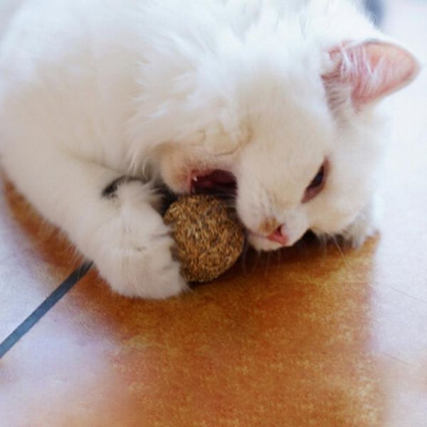 

cat toys pet mint ball catnip playing toy kitten natural