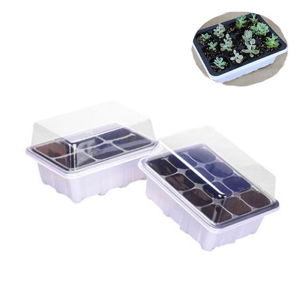 

planters & pots 10pcs white flower pot seeds seedling tray sprout plate 6/12 holes nursery with transparent lids box for gardening