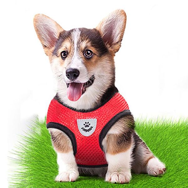 

dog collars & leashes fashion pet cat accessories soft mesh adjustable belt harness leash puppy traction collar vest costume supplies
