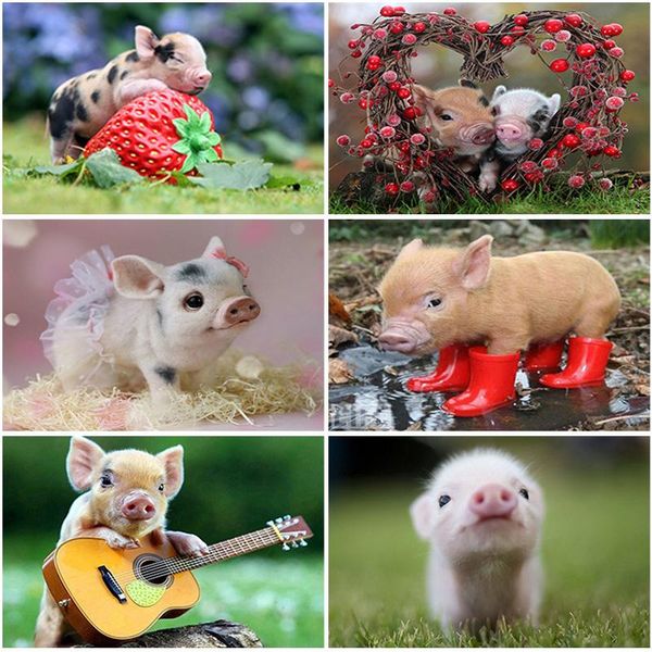 

diamond painting 5d diy animals pig full square/round drill flower landscape embroidery cross stitch mosaic home decor