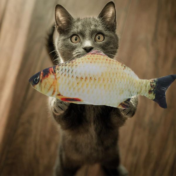

cat toys 2021 usb charge electric interactive wagging fish realistic plush catnip fake dog chew not waterproof pet supplies