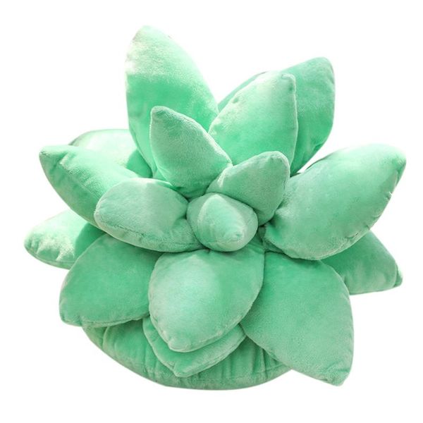 

succulent cactus decor pillow for garden or green lovers cute ac cent succulents