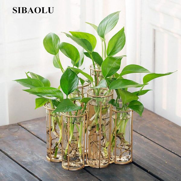 

vases tube shape flower glass vase bottle for plant diy home decoration terrarium hydroponic green container