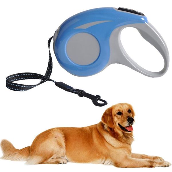 

dog collars & leashes pet cat automatic retractable traction rope walking lead leash safety belt ceinture chien coleiras de para caes