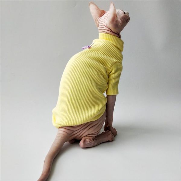 

sphynx cat clothes spring summer apparel hairless outfits kitten costumes