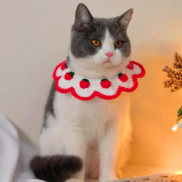 

cat costumes purple strawberry dog collar bibs sweet bell necklace floral pet scarf cute kitty accessories for small medium kittens