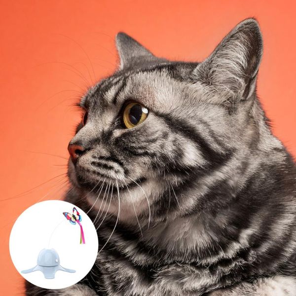 

1pc creative teaser electric cat pet supplies battery blue toys