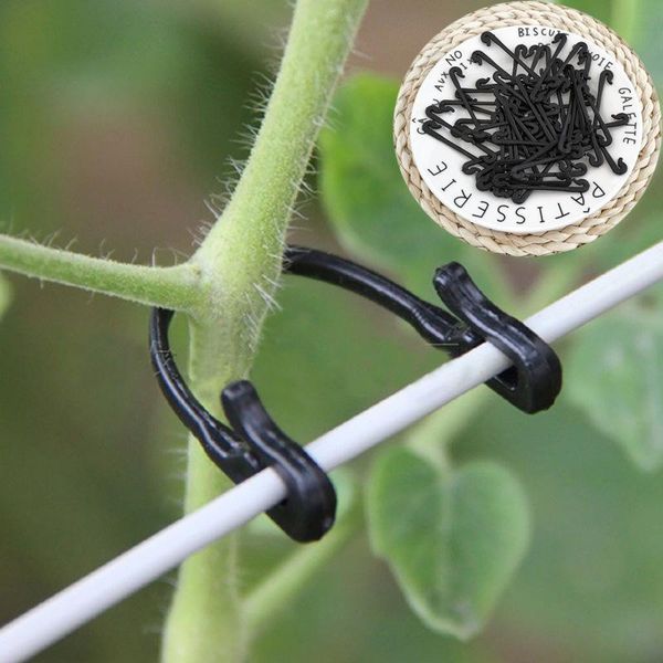 

other garden supplies 50pcs / lot plant support clip tomato kiwi cucumber planting hook outdoor fruit vegetable gadget supports