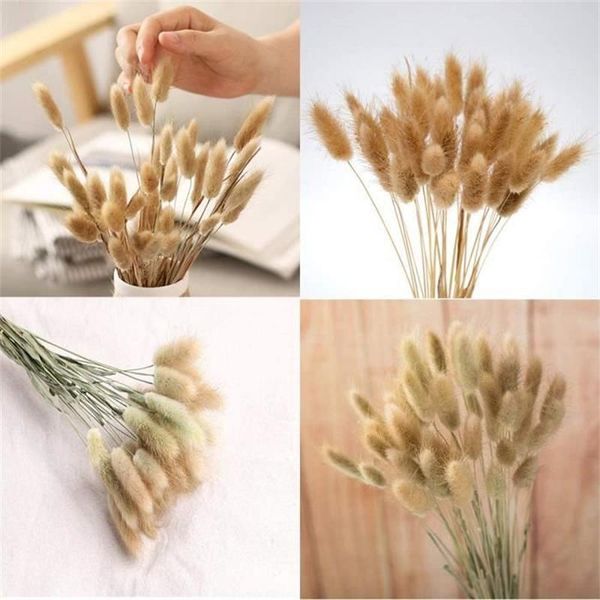 

decorative flowers & wreaths 60pcs dekoration natural dried tails bouquet diy tail grass floral bunches decoration pampas lagur