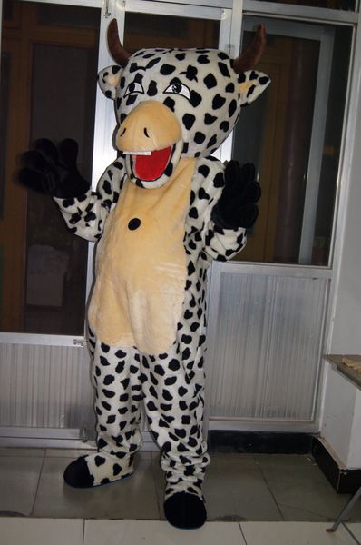 Real picture vacas mascote traje fantasia vestido para halloween carnaval partido suporte personalização
